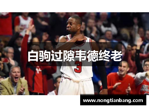 白驹过隙韦德终老